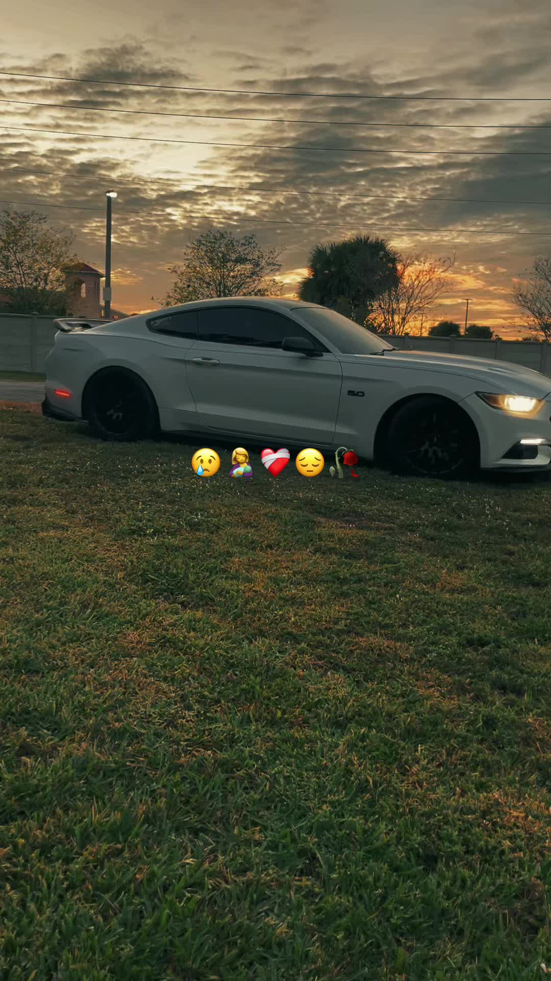@davidgt869