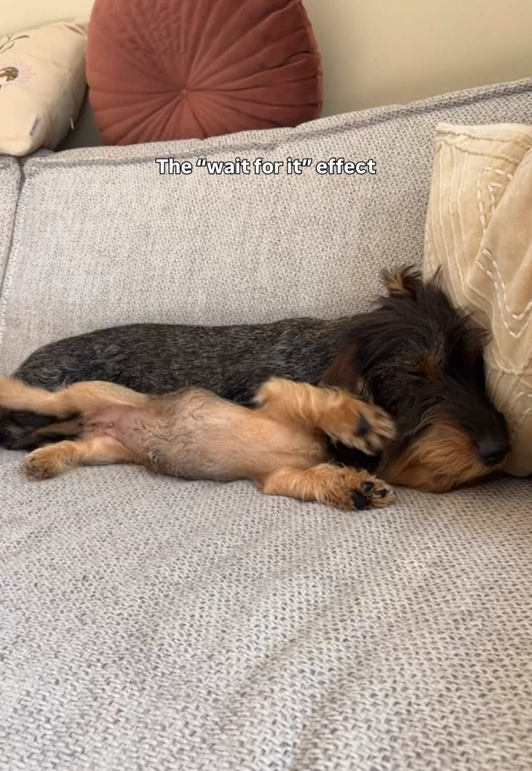 @lifeoflunabowie