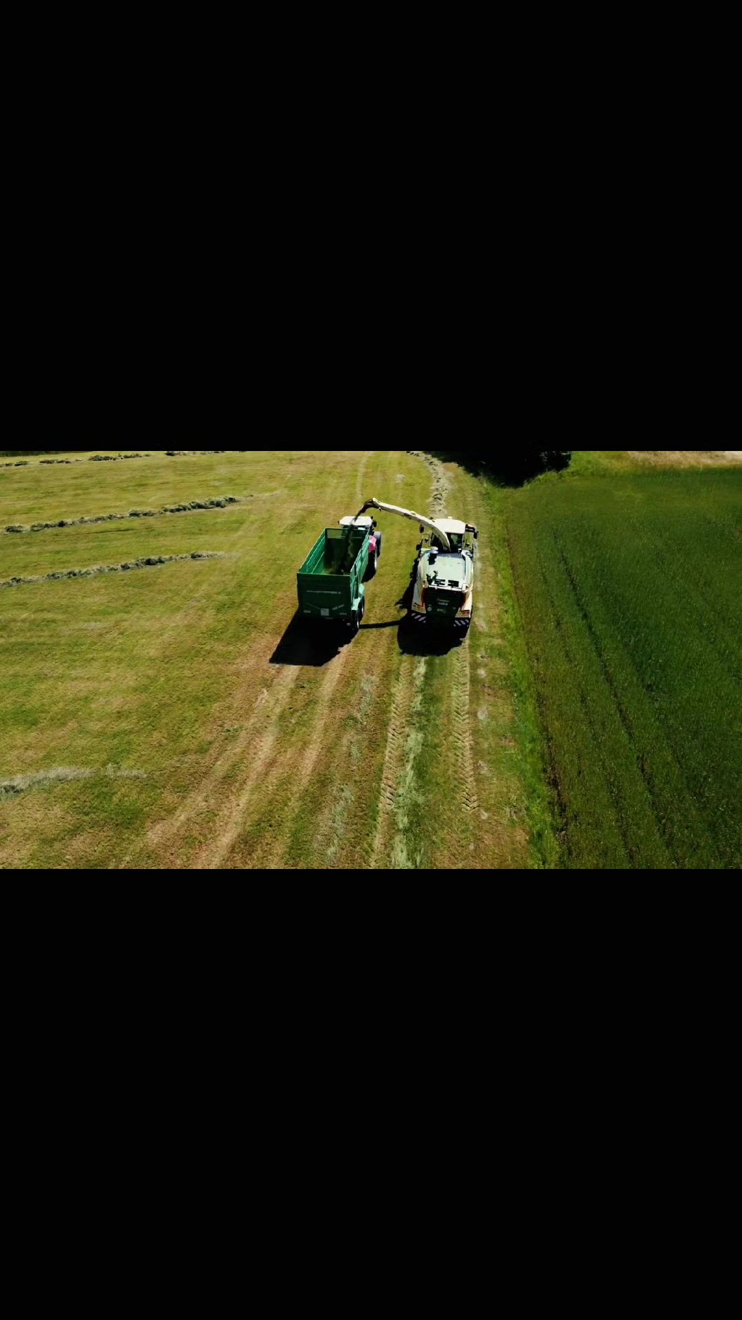 @Bauer Richter 🐱🚜