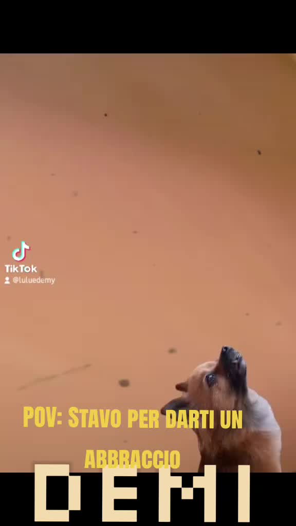 @๐ถโ๐ ๐ฟ๐๐ù ๐โ๐ถ