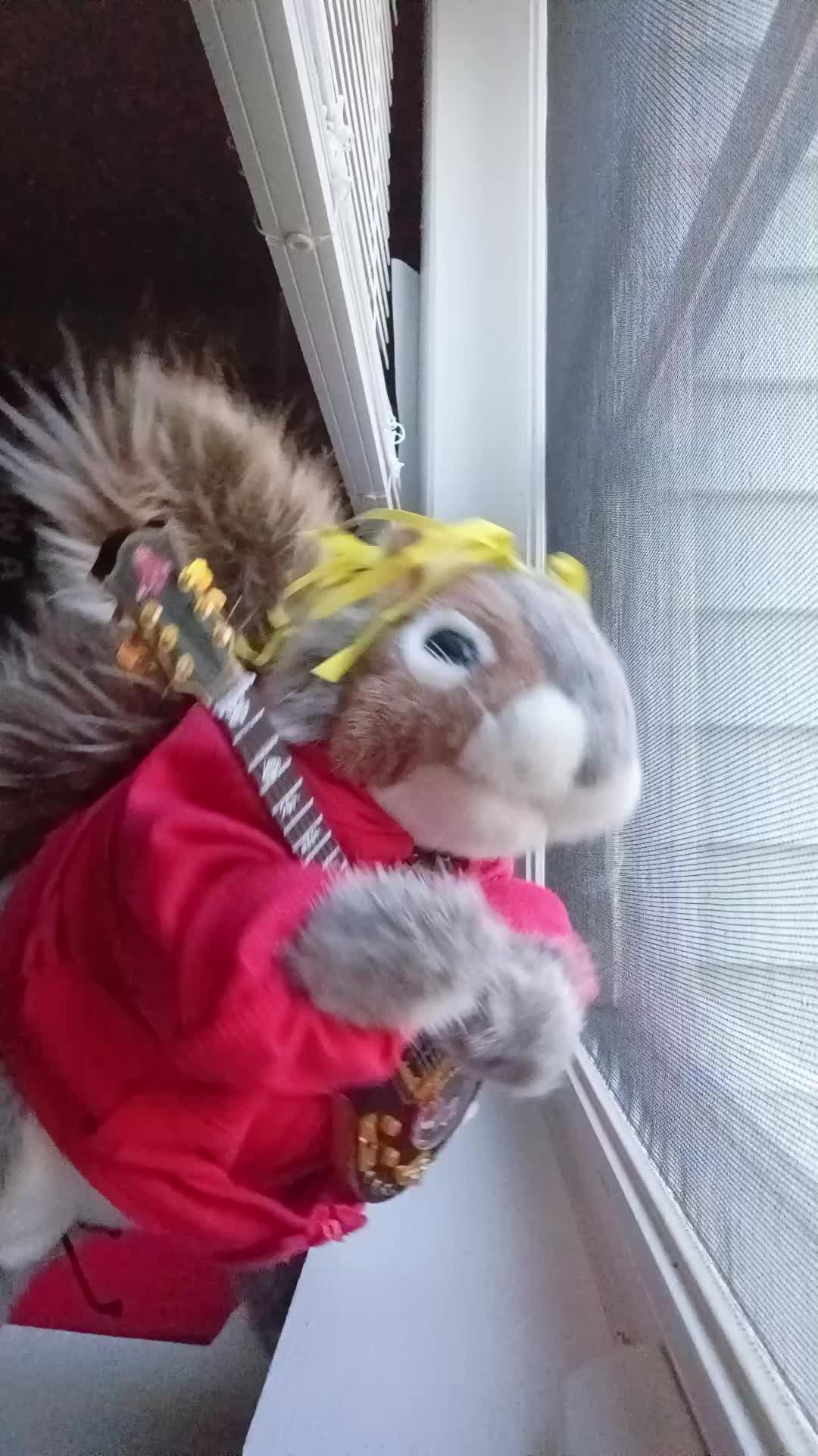 @Charles_TheSquirrel