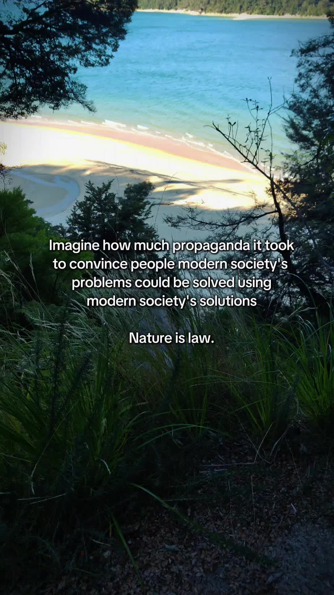 @paleonate