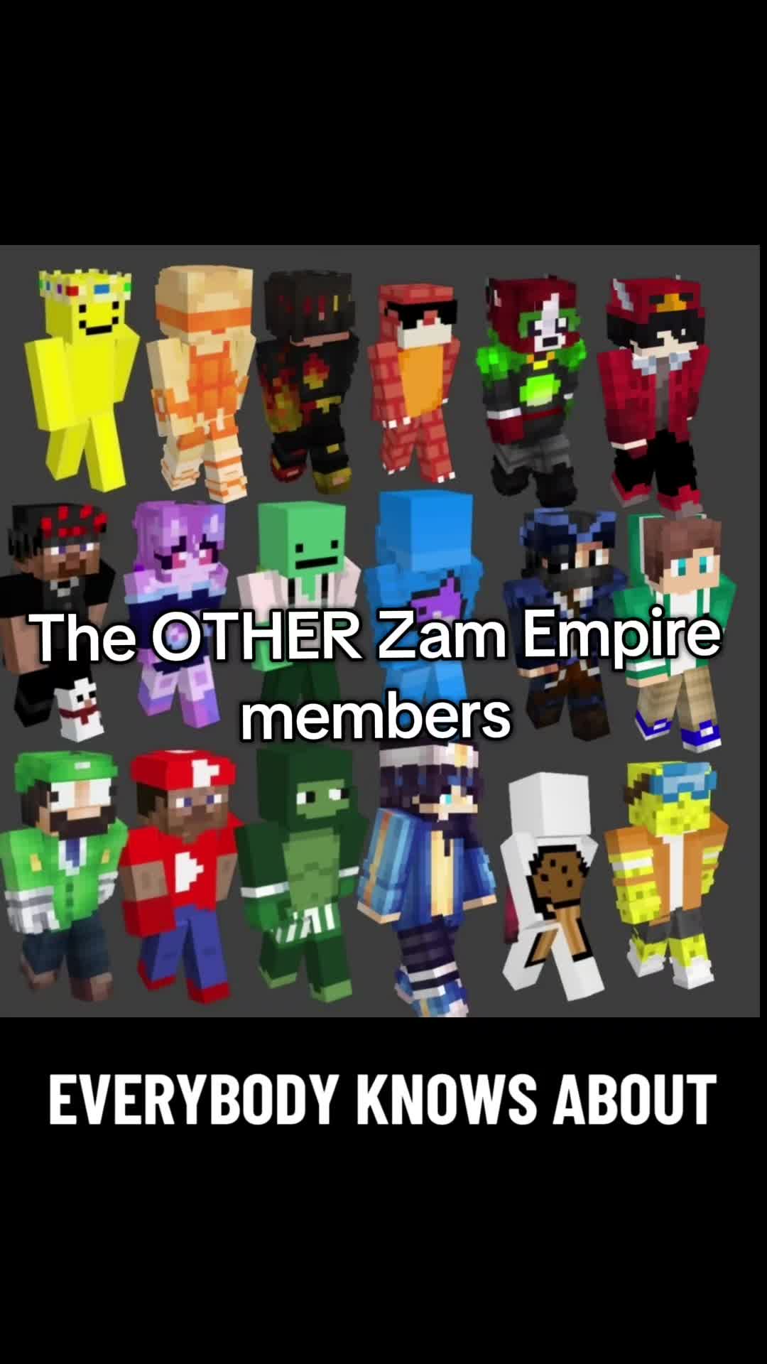 @LS_Brine11