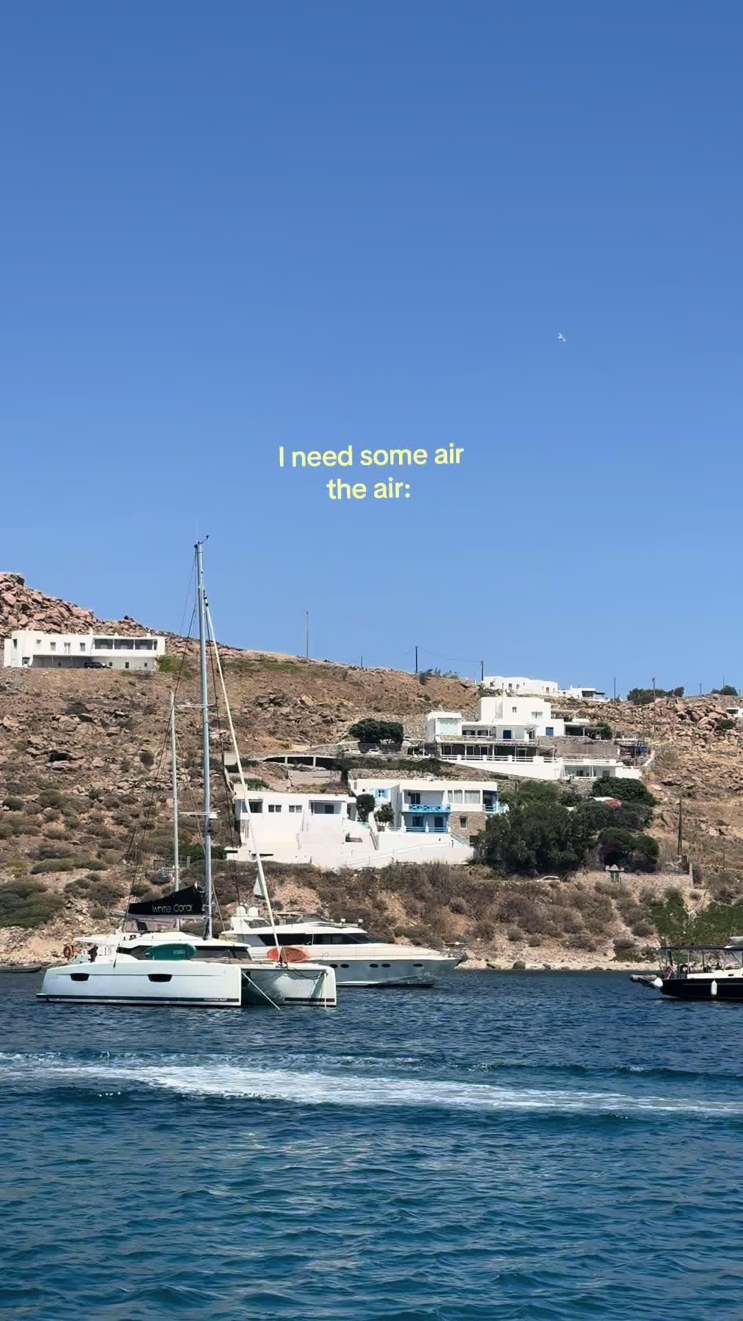 @artnabbi