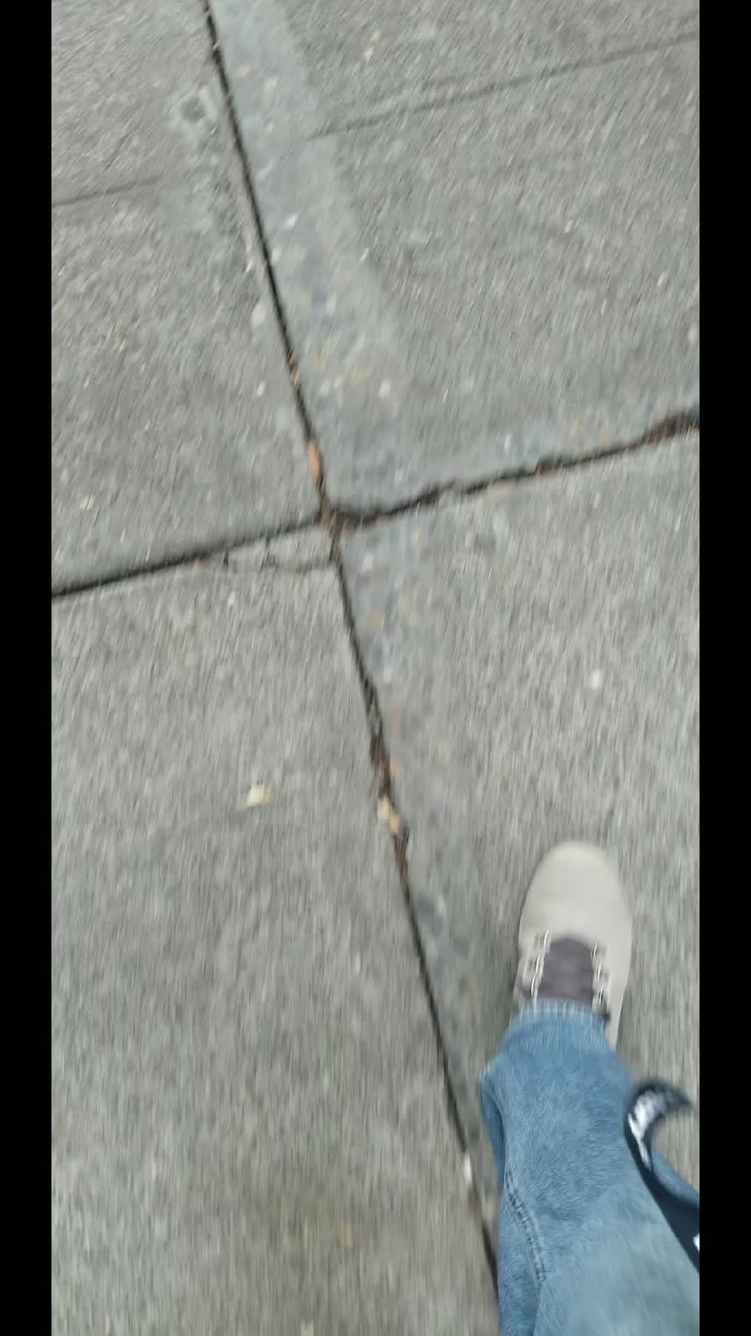 @Zoom Patrol