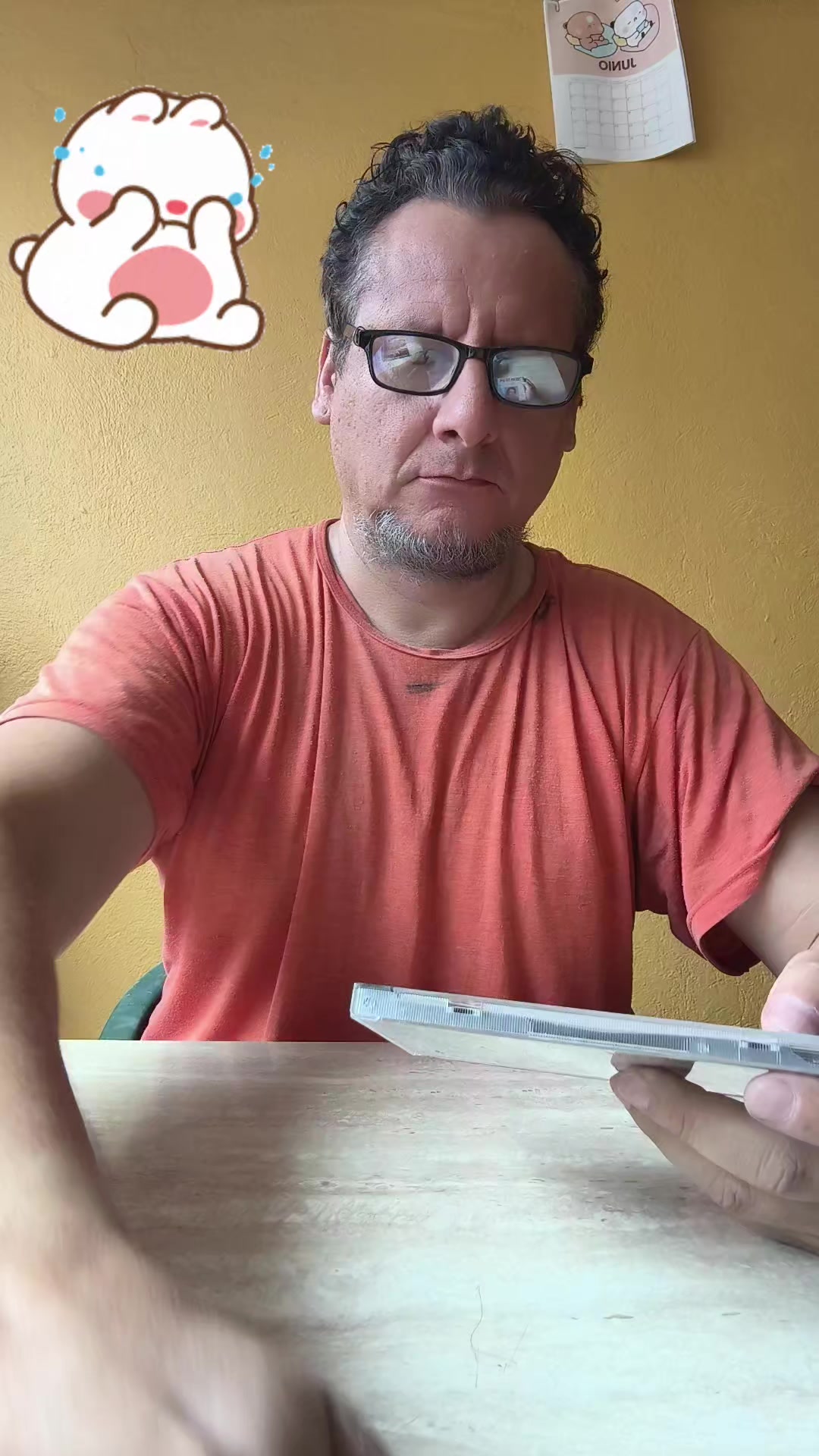 @Carlos Tapia