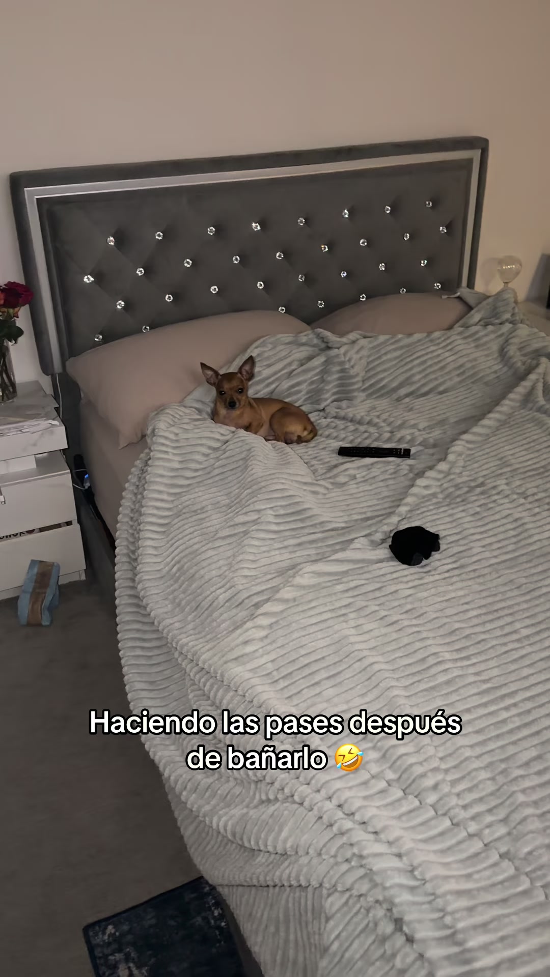 @Gloria Hernandez