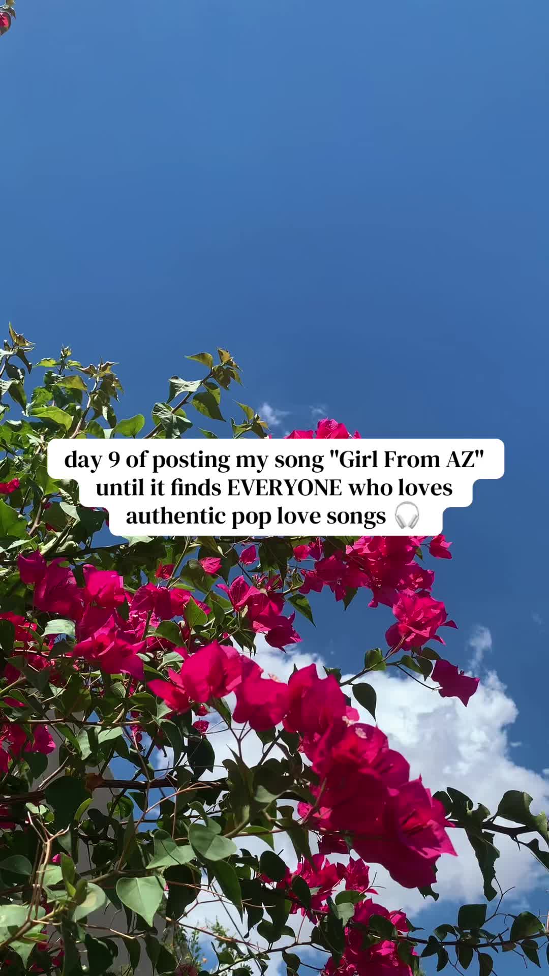 @thetylerjarvis