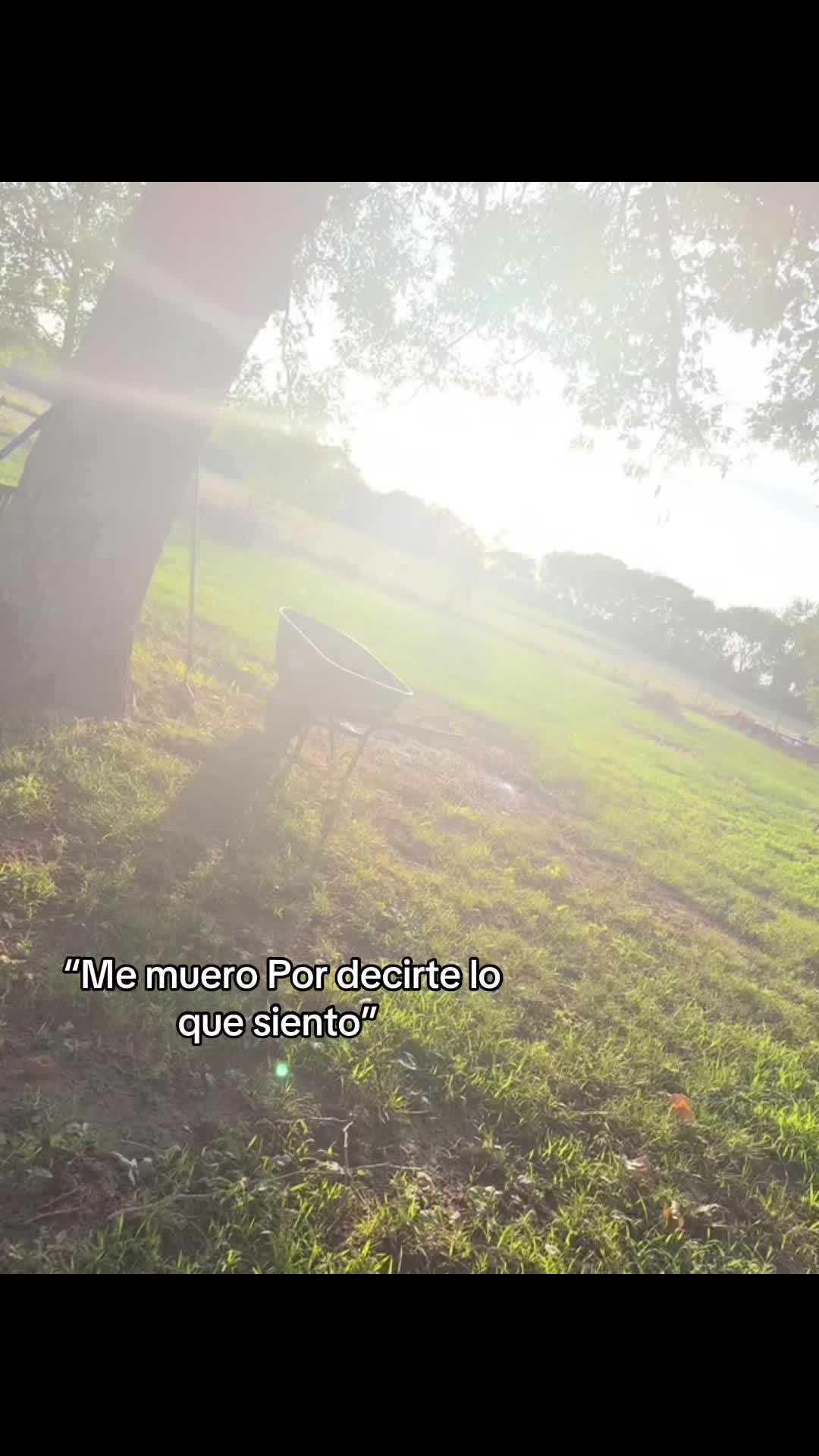 @😮&zwj;💨🇲🇽Jose🇲🇽😮&zwj;💨