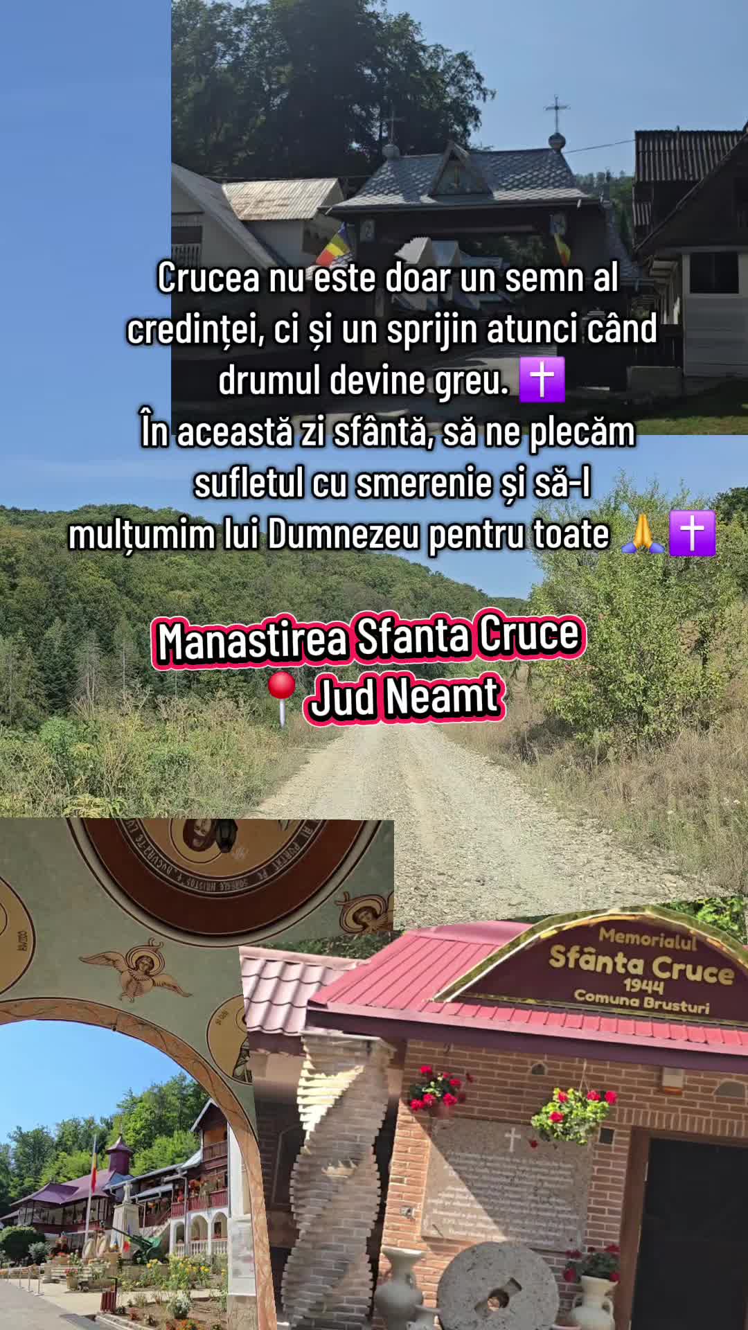 @Anca Delia Groza