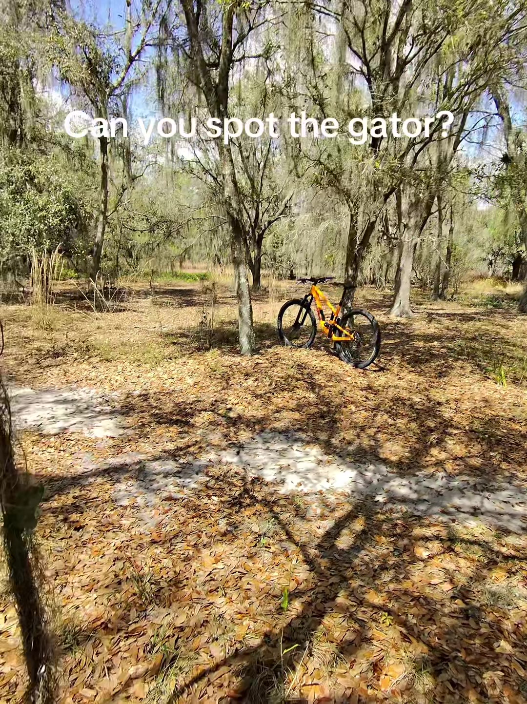 @Flow_MTB