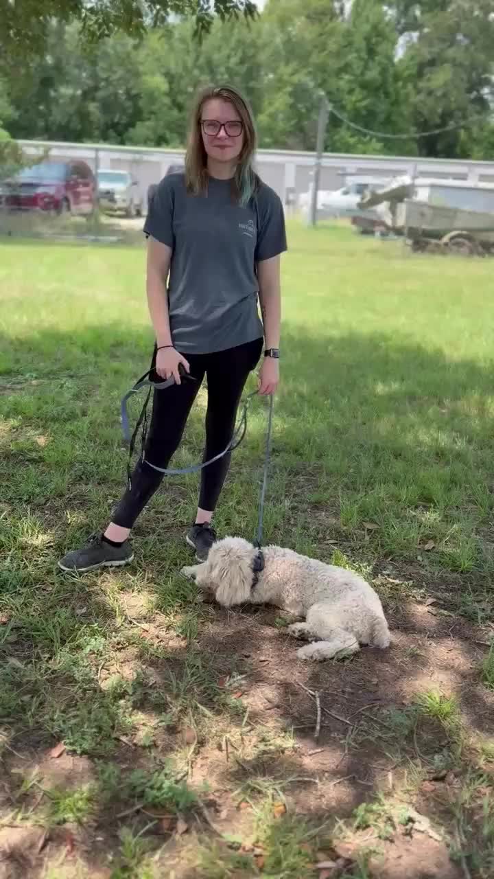 @Koba’s Four Paws Institute
