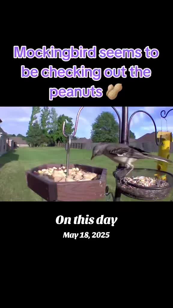 @The bird watcher 🐦 🦜 🦚