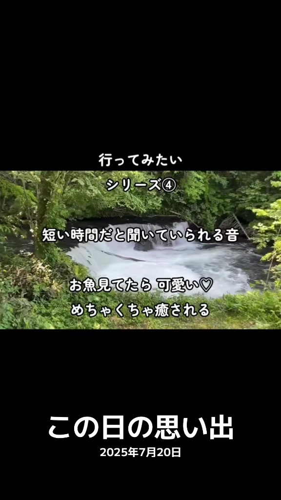@TAN TAN たん