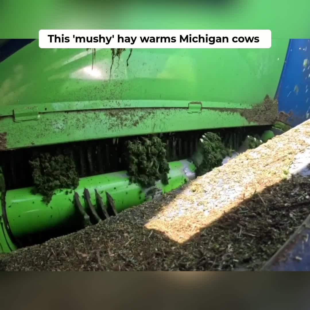 @Kip Siegler Farming