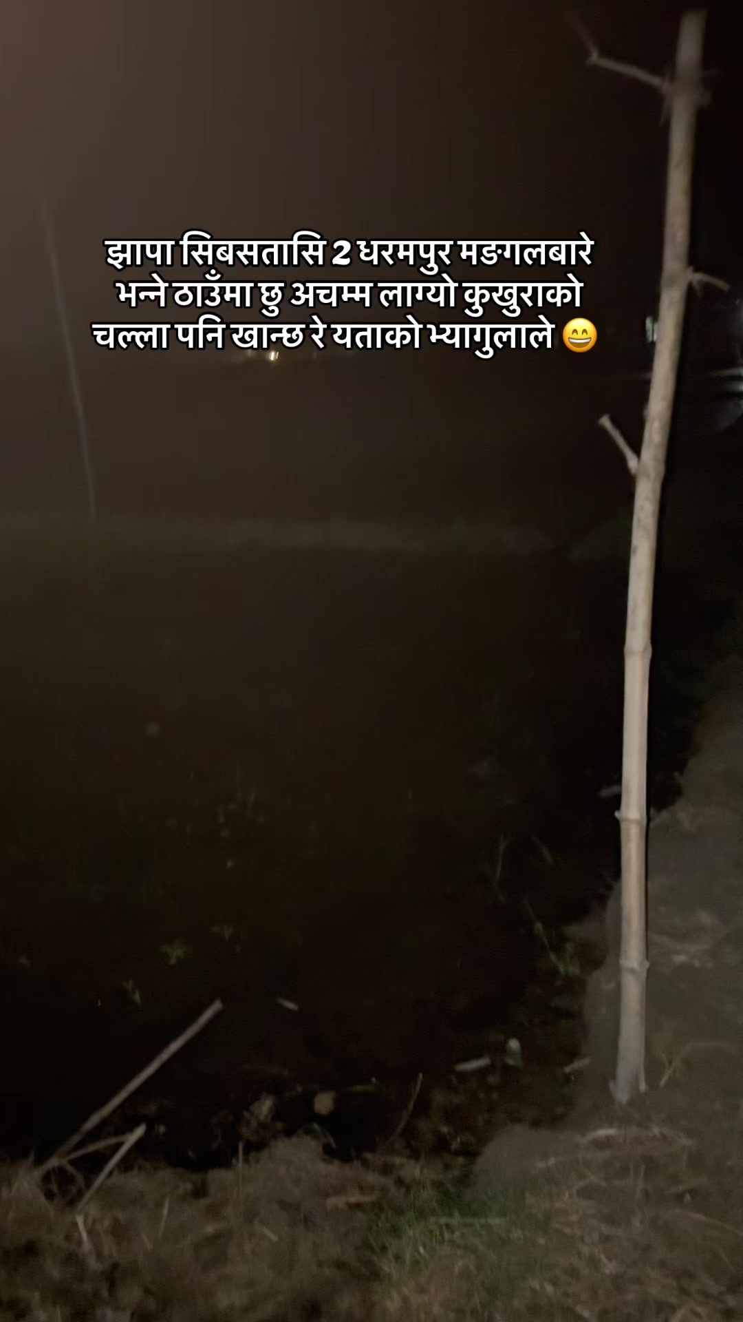 @krishna_tarkariwala