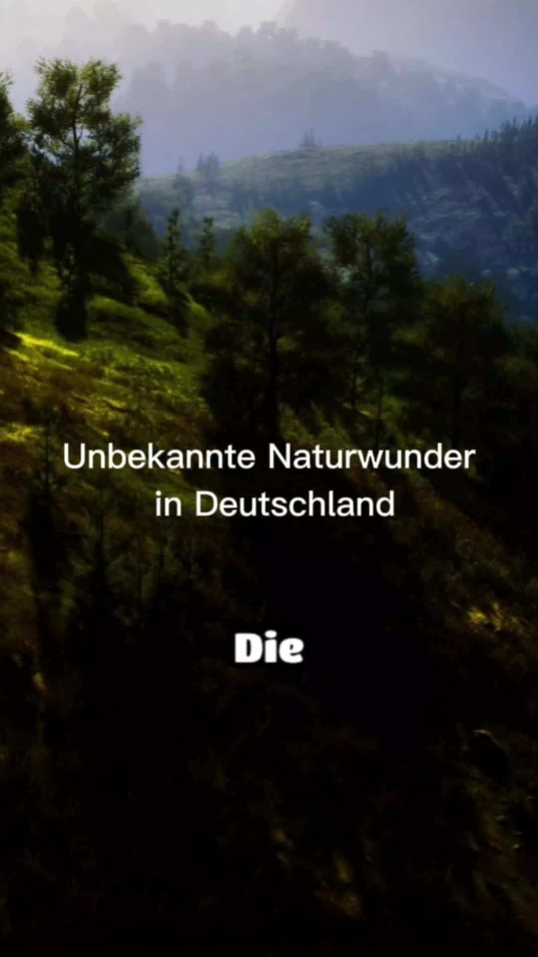 @DEU & EU Travel- Kurzvideos