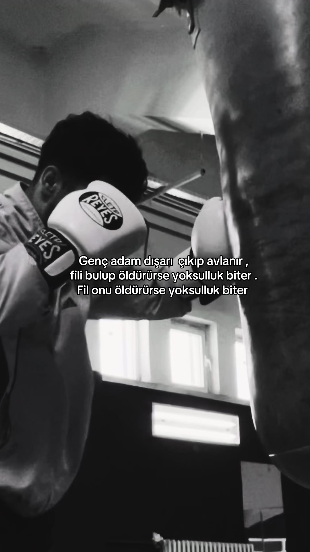 @Talat yağlı 🕊️