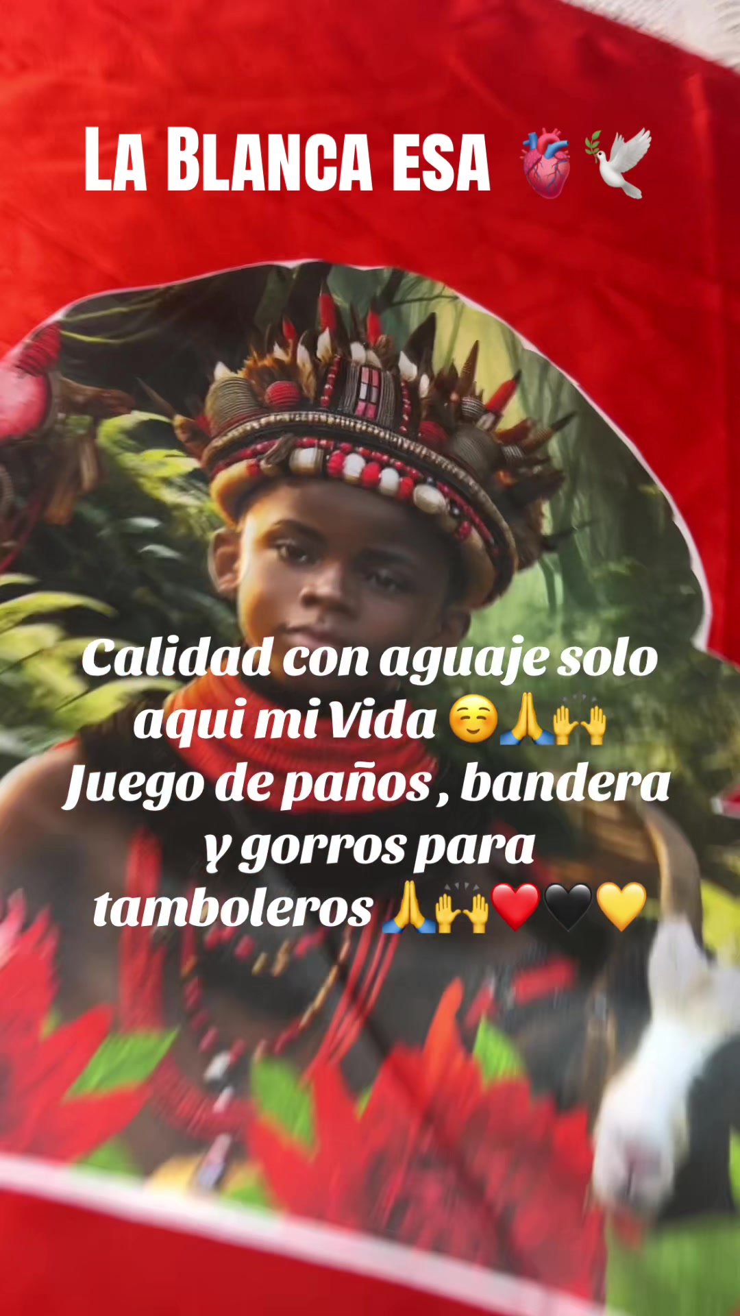 @Lacasadeeggun🤍🖤