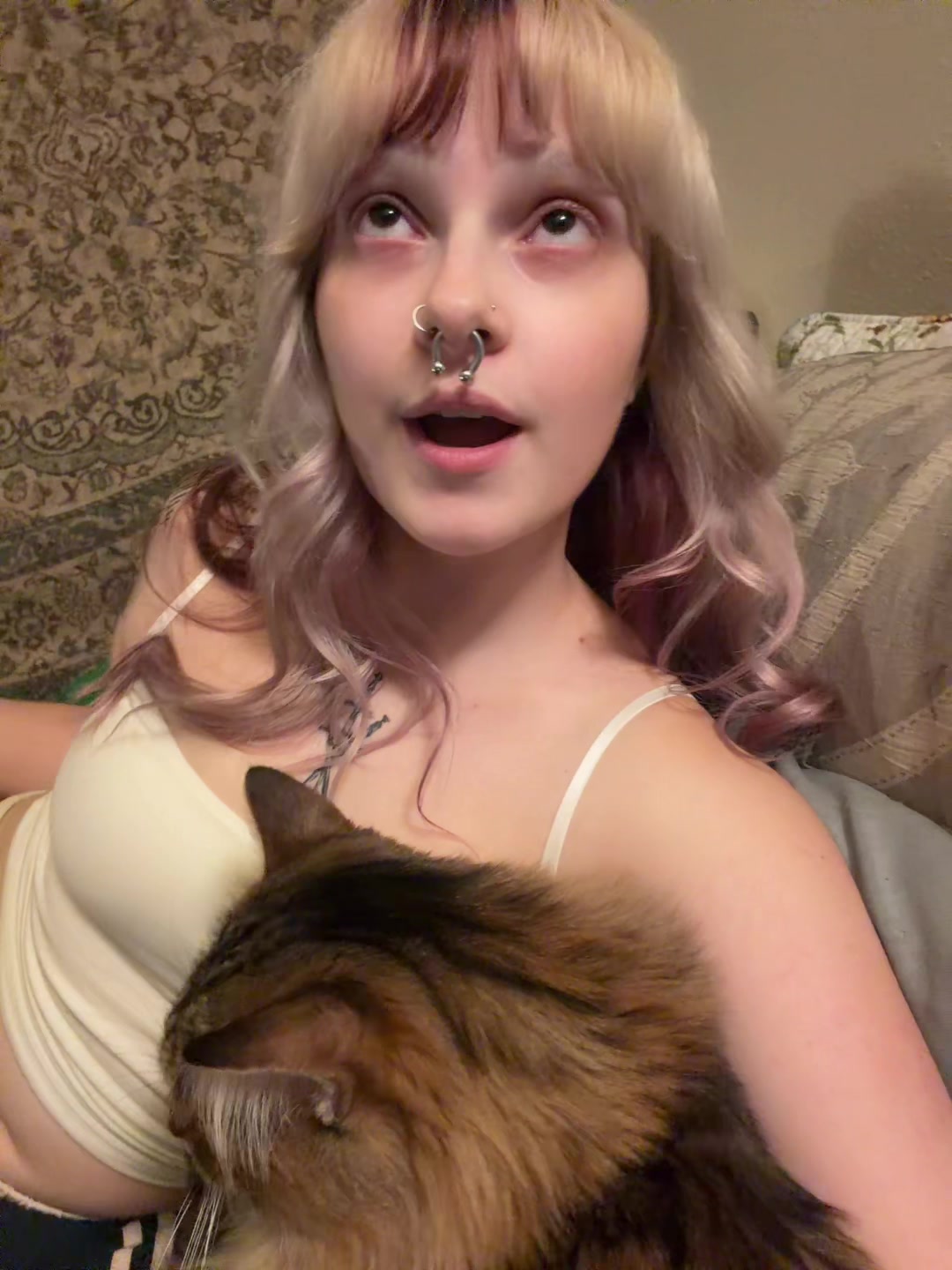@ᏊˊꈊˋᏊ