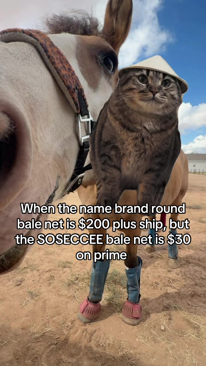@Bre.SoForRealRightNow