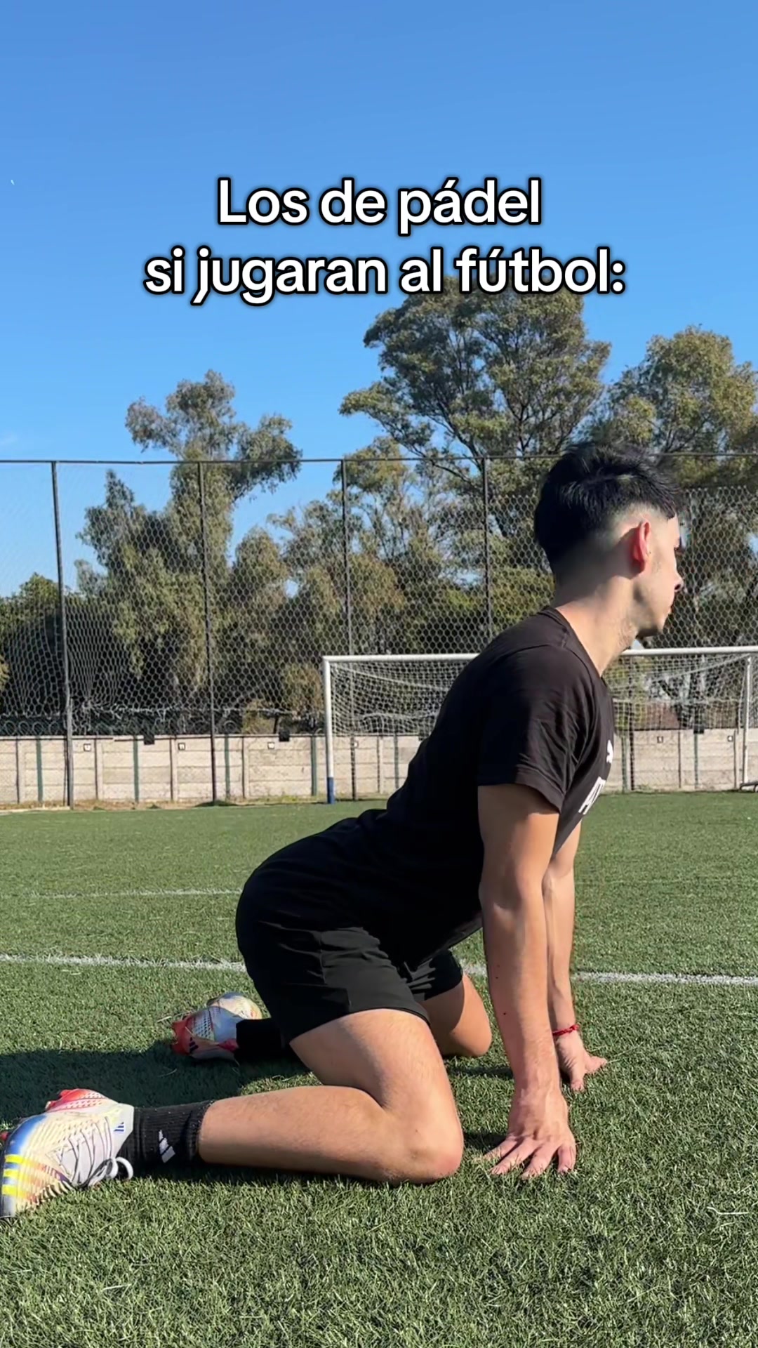 @saanti.feldman
