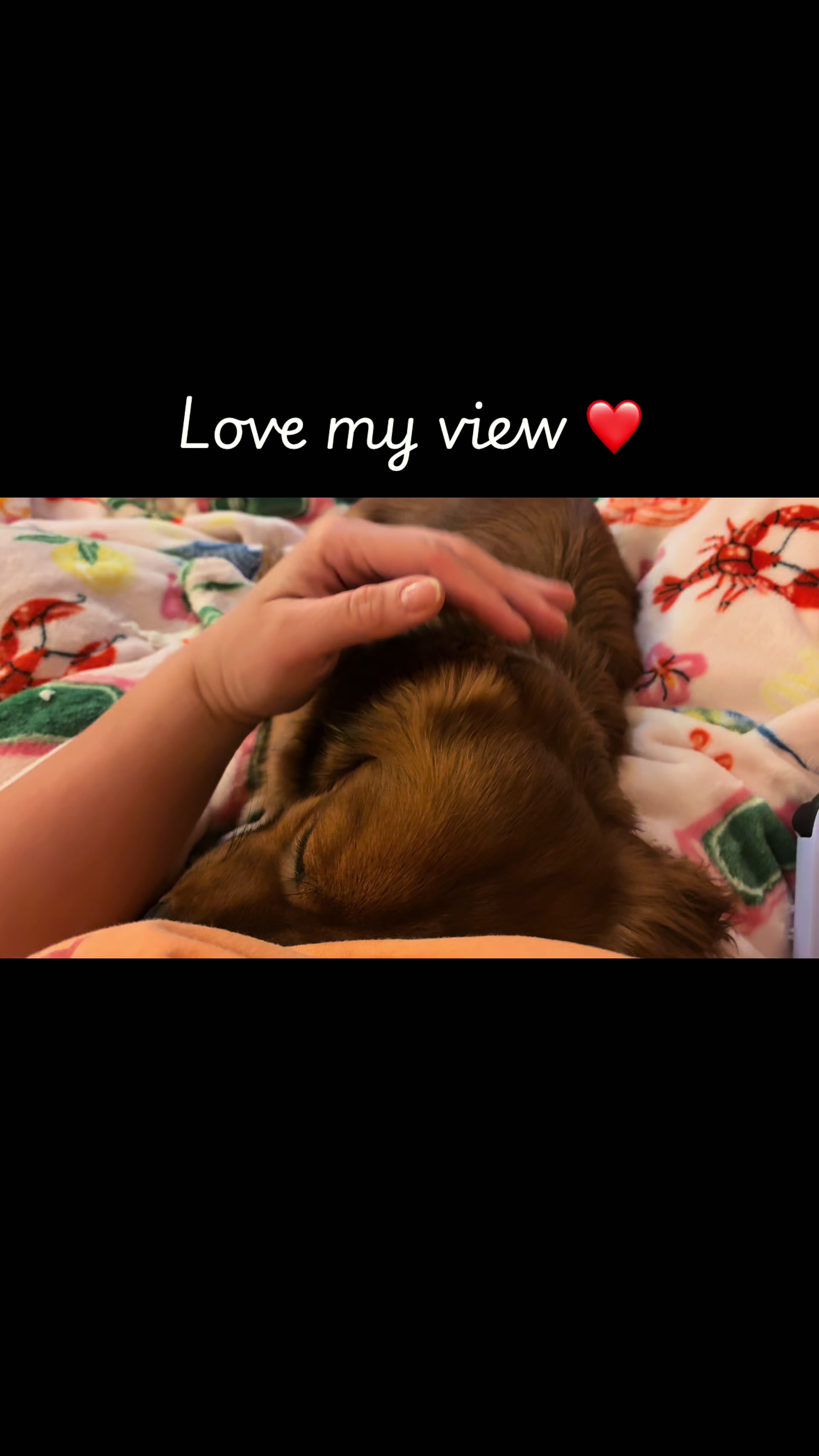@remi.the.mini.ween