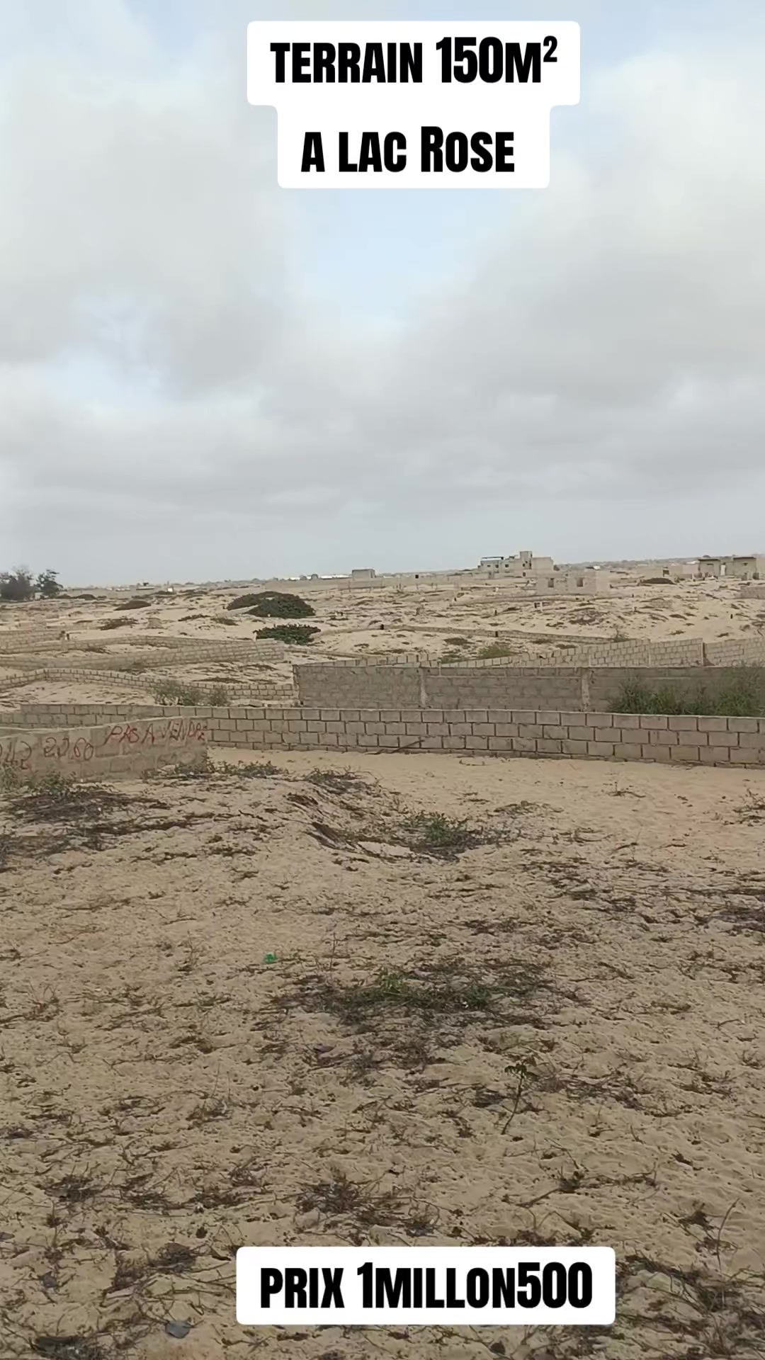 @S&eacute;n&eacute;gal dakar habitat 🇸🇳
