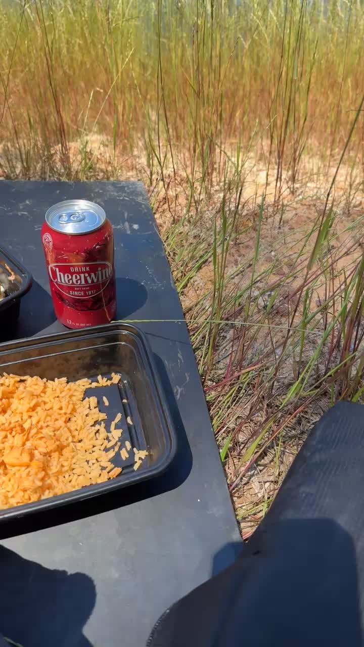 @talivan