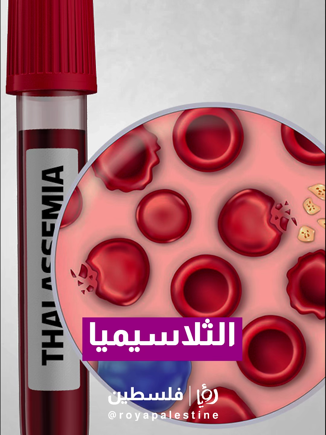 @Royapalestine رؤيا فلسطين