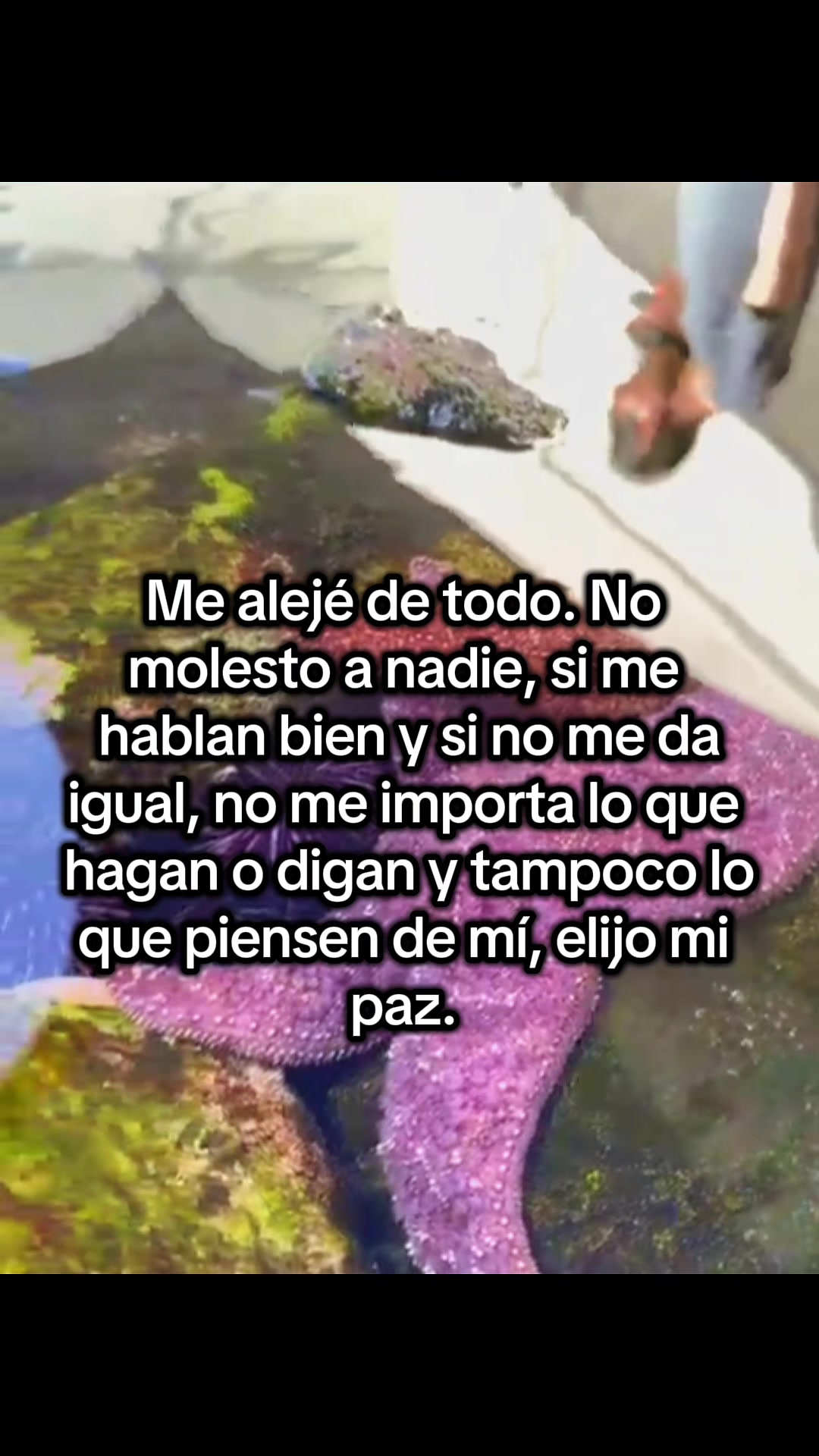 @🌻❤️Michelle❤️🌻