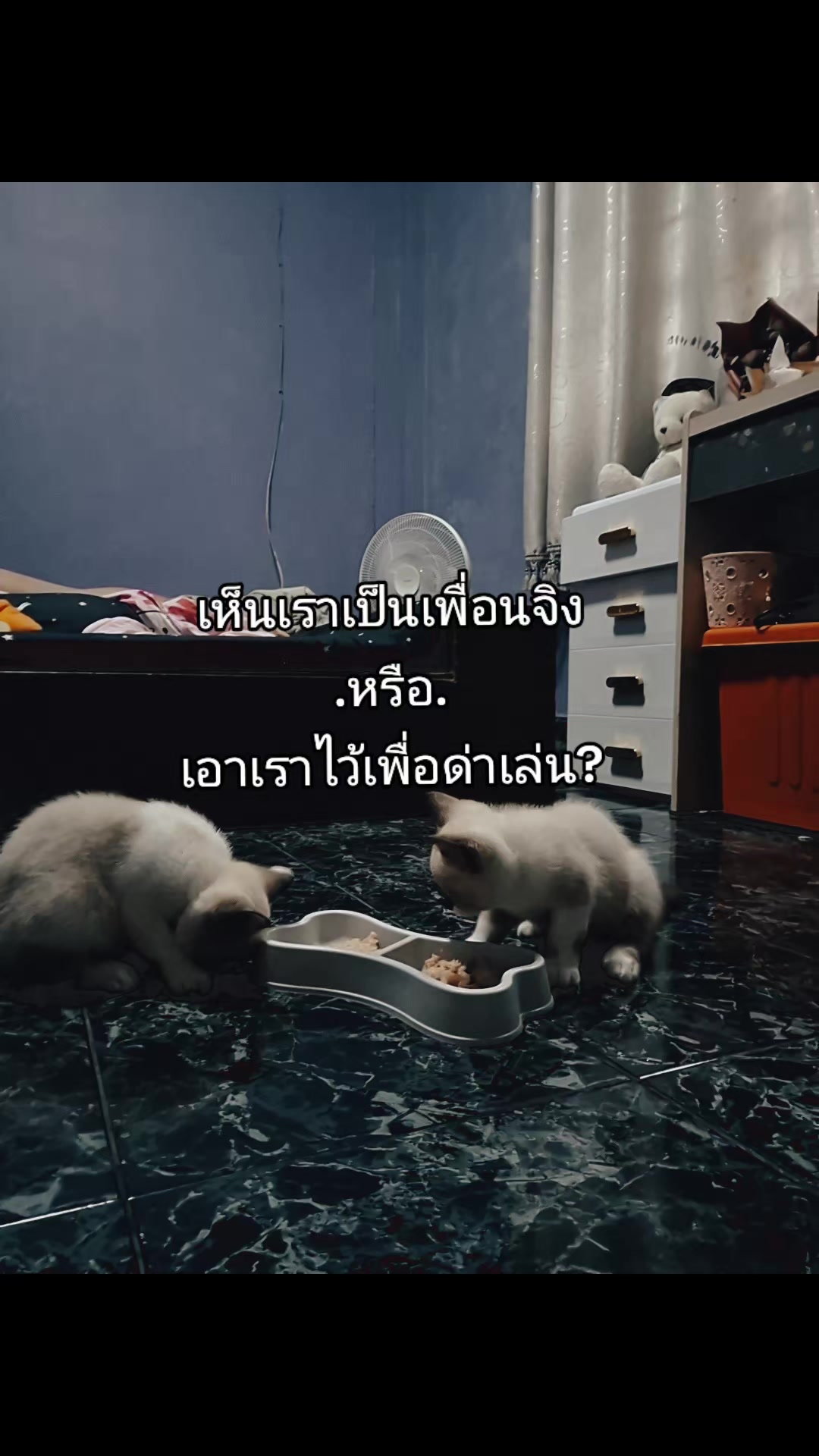 @17 มิถุนา า