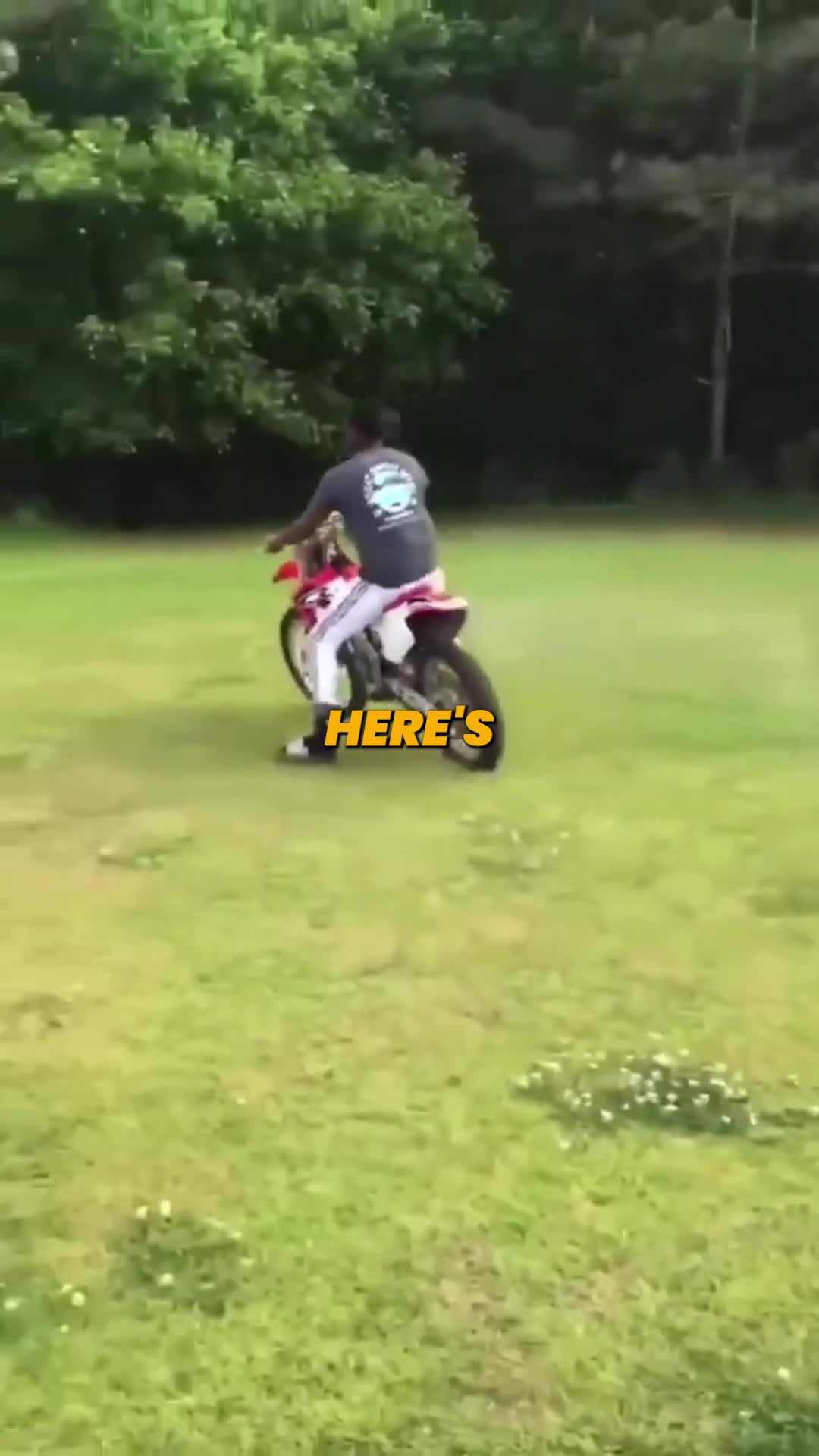 @The Moto Academy