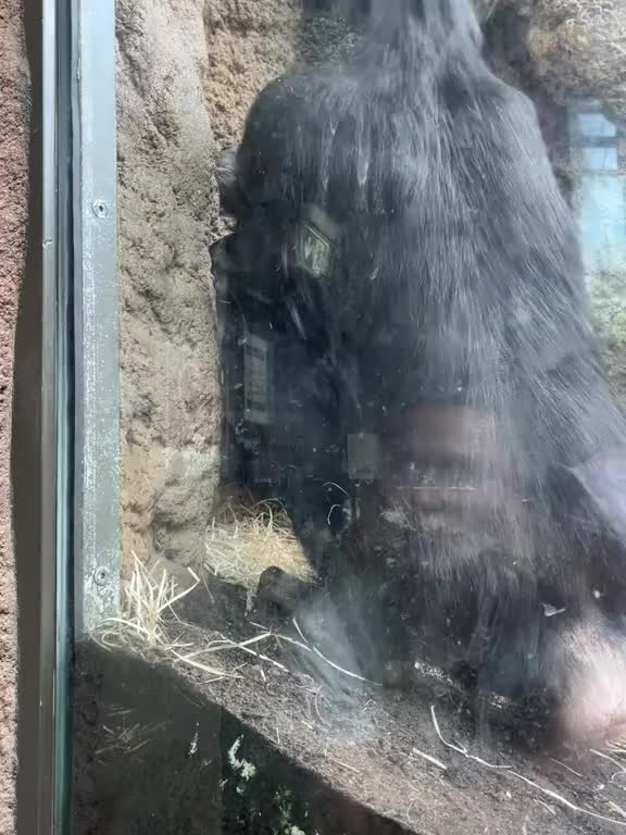 @animalmemester