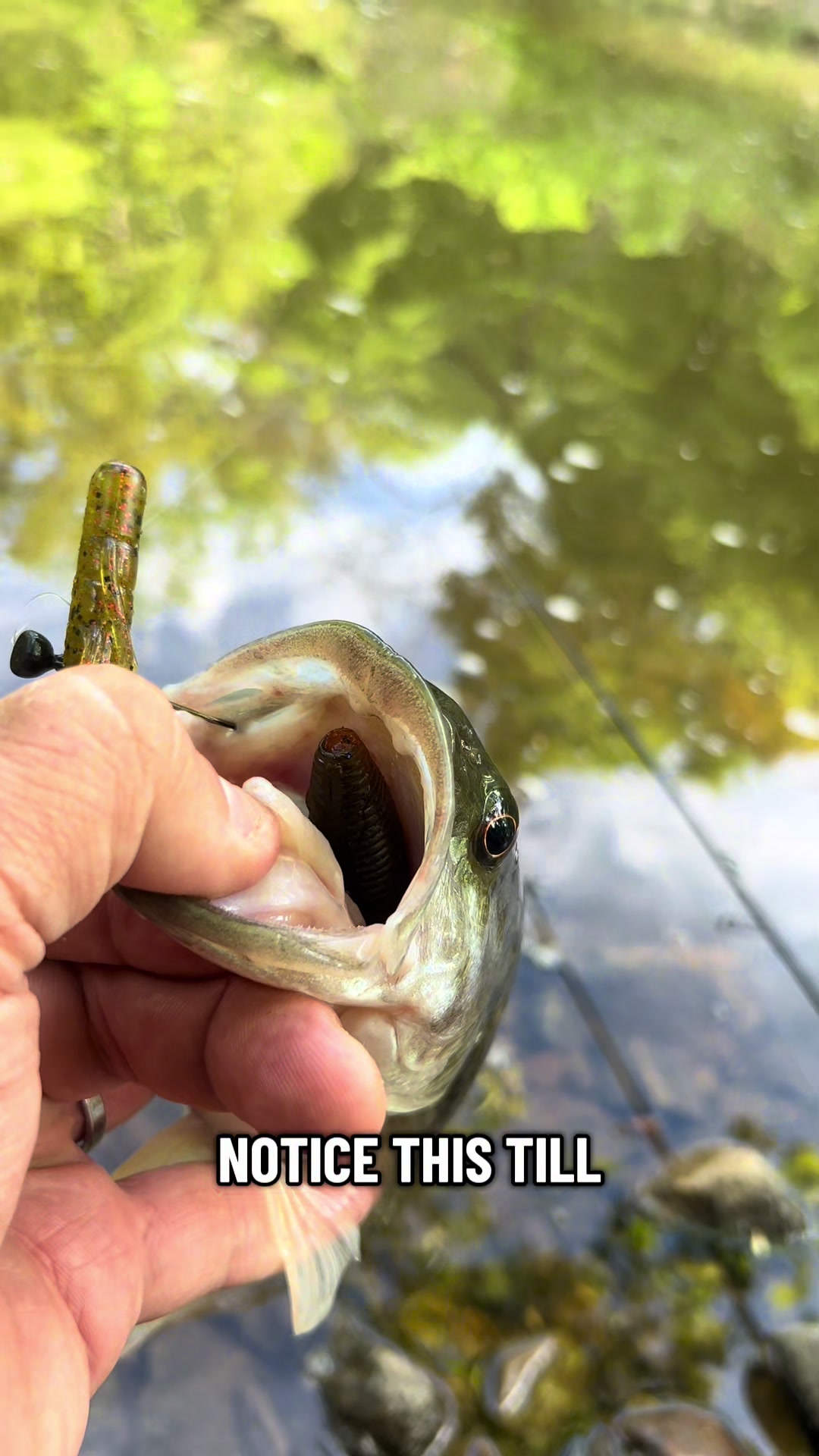 @Creek Seeker Outdoors