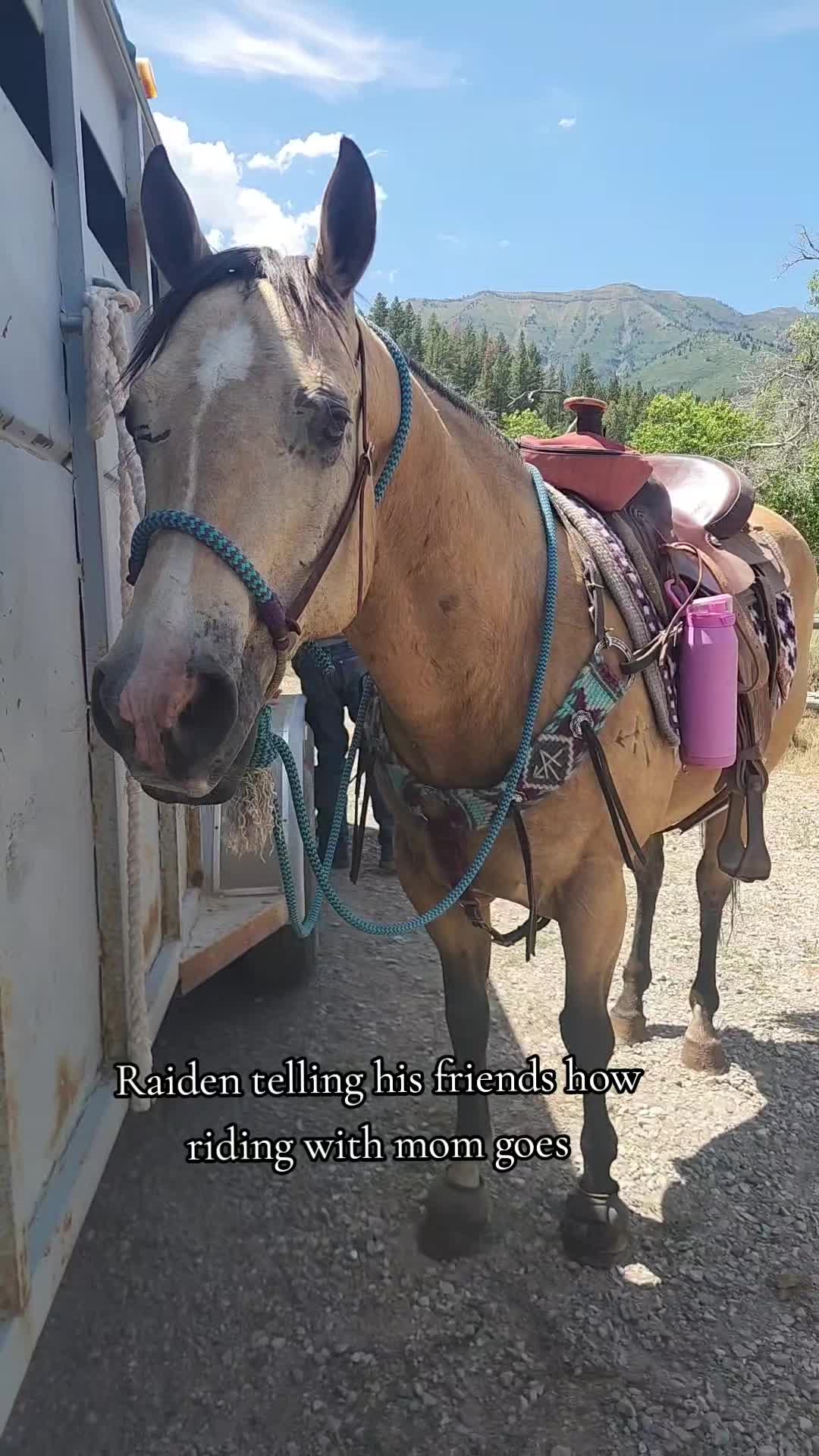 @Olsen Horse & Cattle Co. LLC