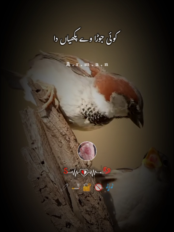 @🎭ارمان🎭