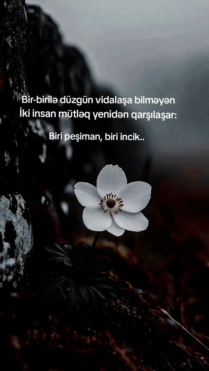 @Rəşad_Rəhimov