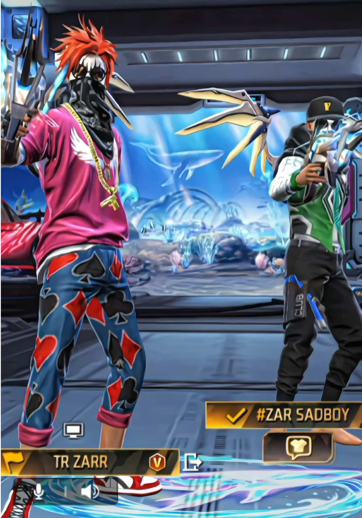 @ZARR
