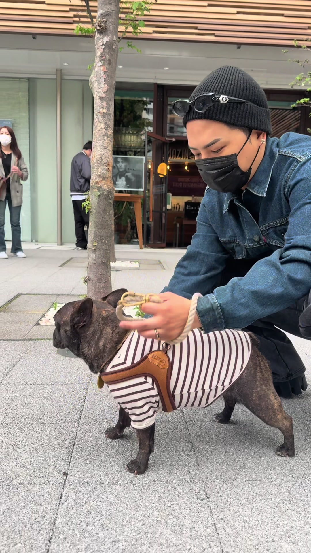 @だいまーる