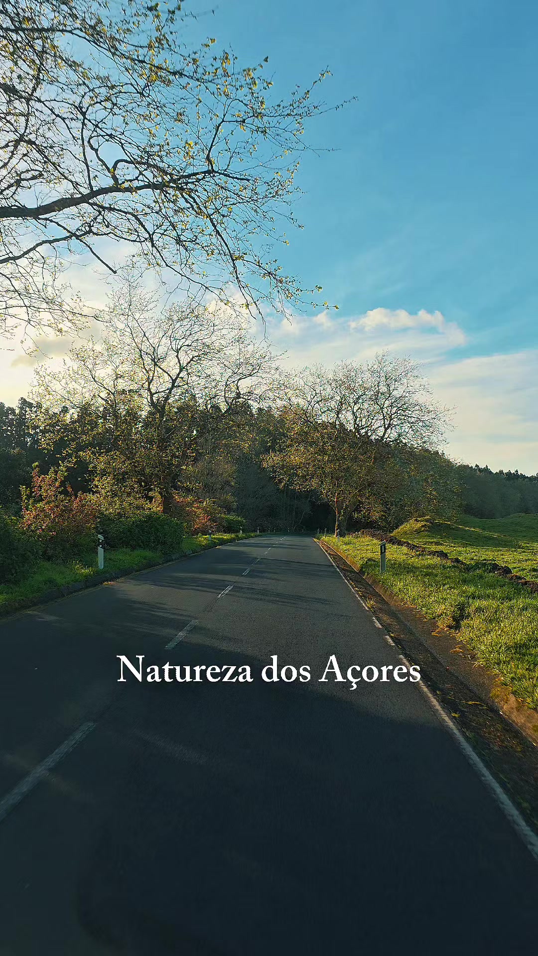 @Love From Azores