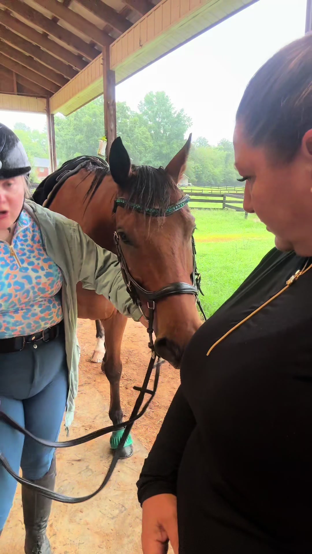 @MindsetEquestrian