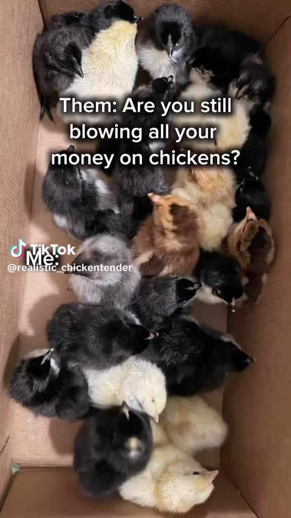 @Nylal