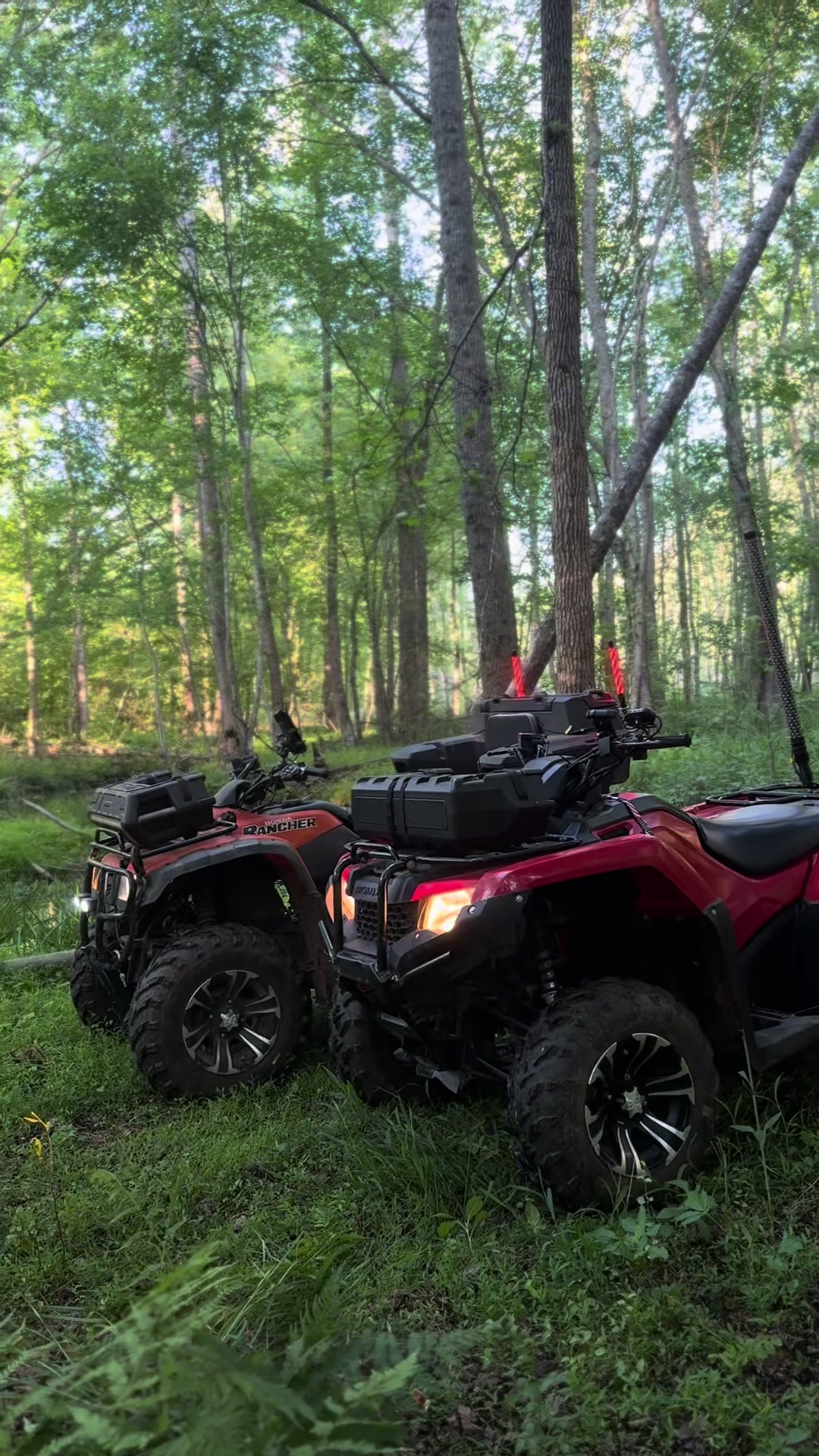 @😎🤙That Red Honda 🇺🇸🤠