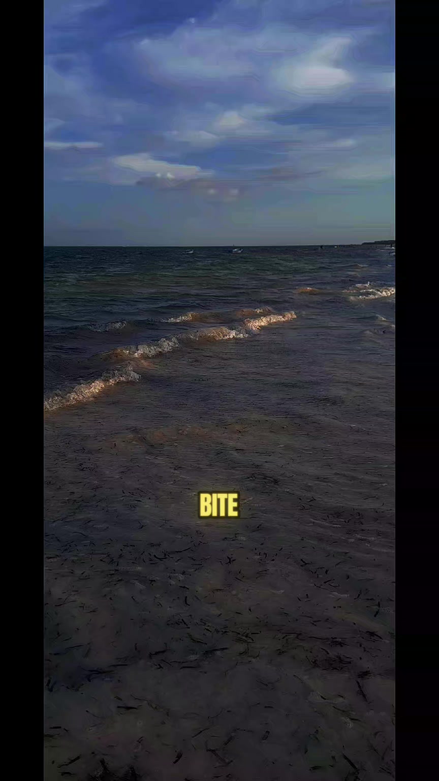 @Riddims Clouds🇰🇪🇯🇲