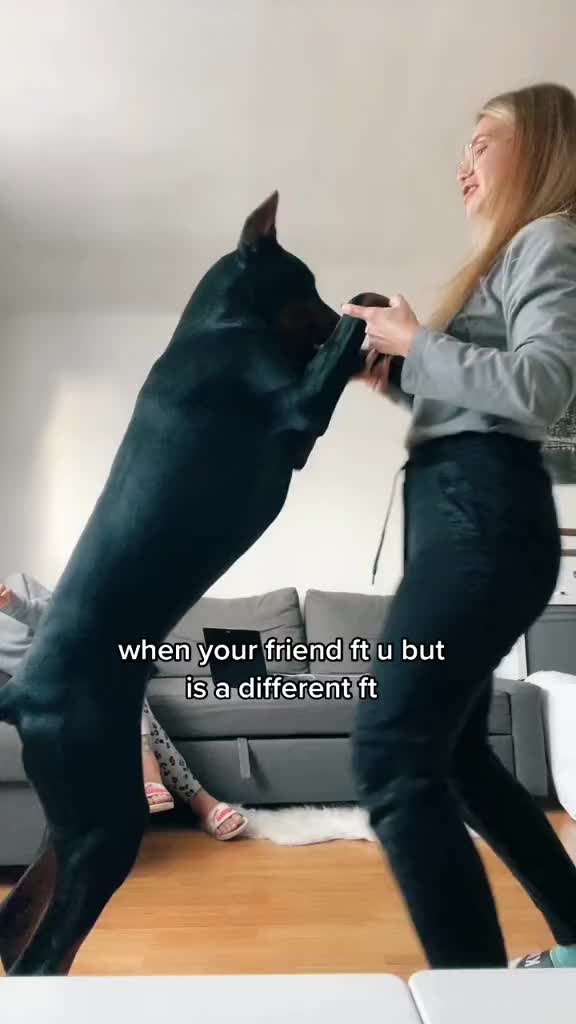 @Oana for Dogs