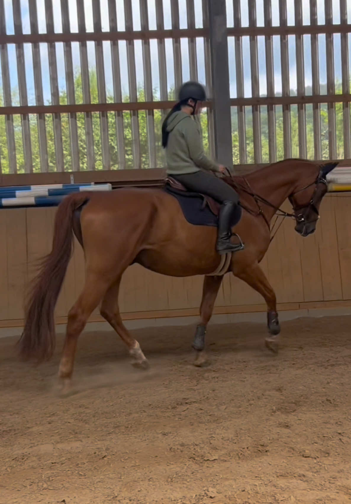 @annalisa.equestrian