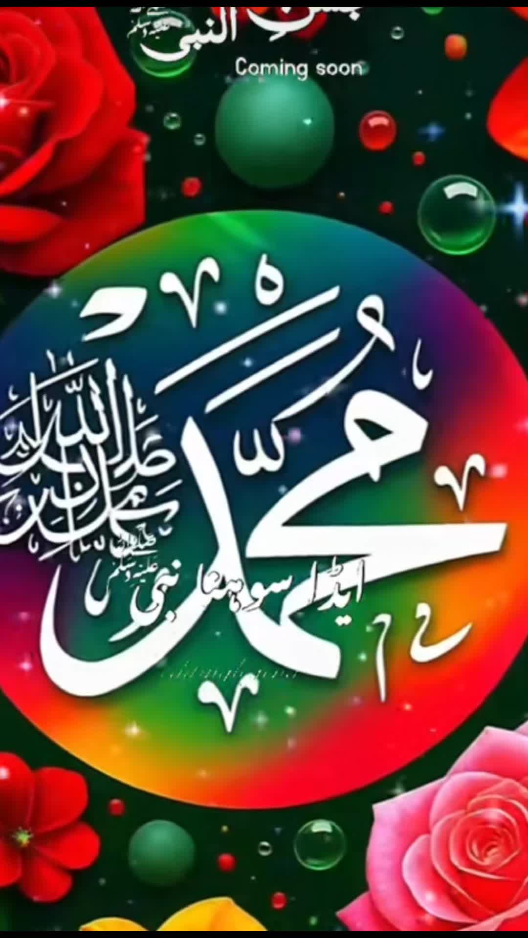 @amaan1949