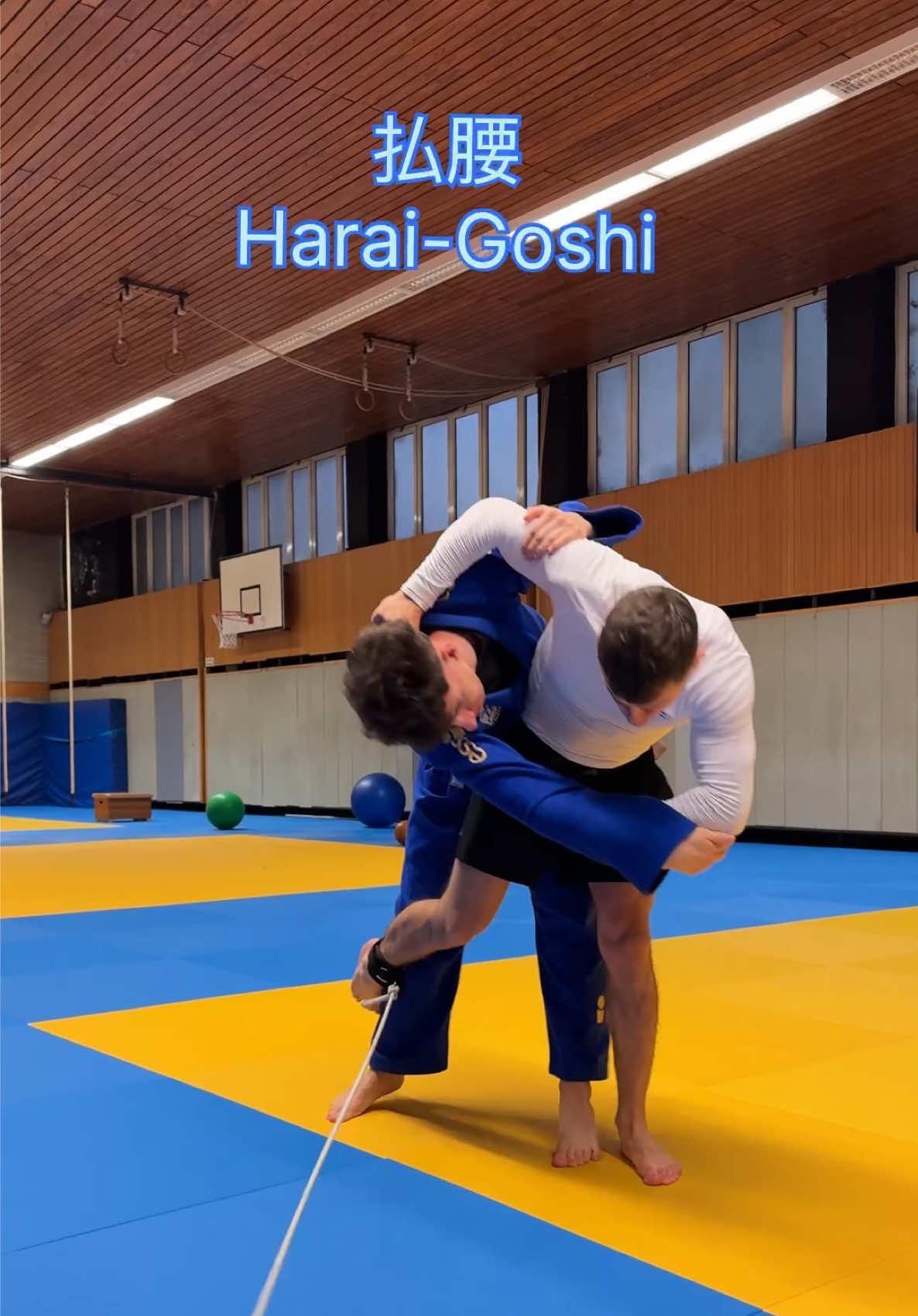 @Cyber-Judoka