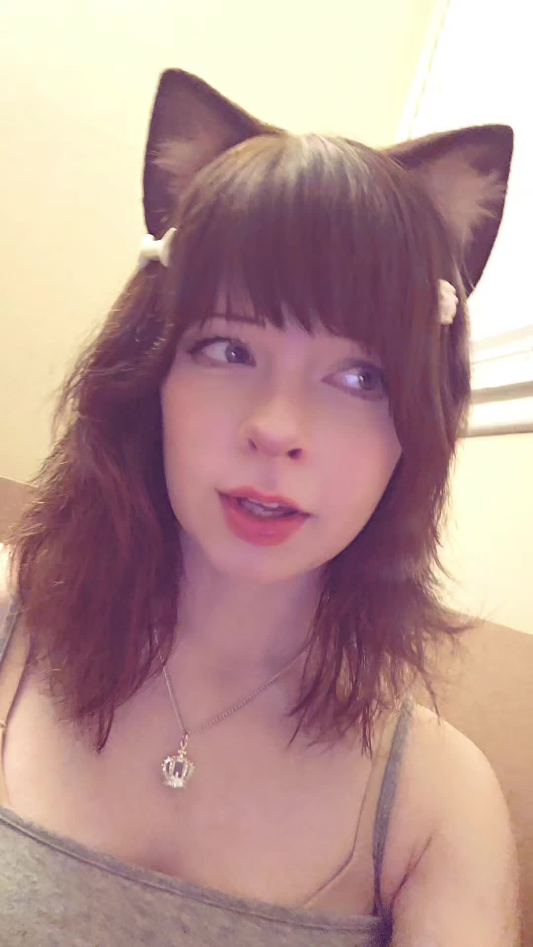 @nyanko🐾